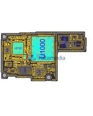 Licencja ZXW Online 1 Rok