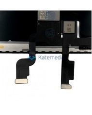 LCD SCREEN IPhone XS MAX ORG REMOVED