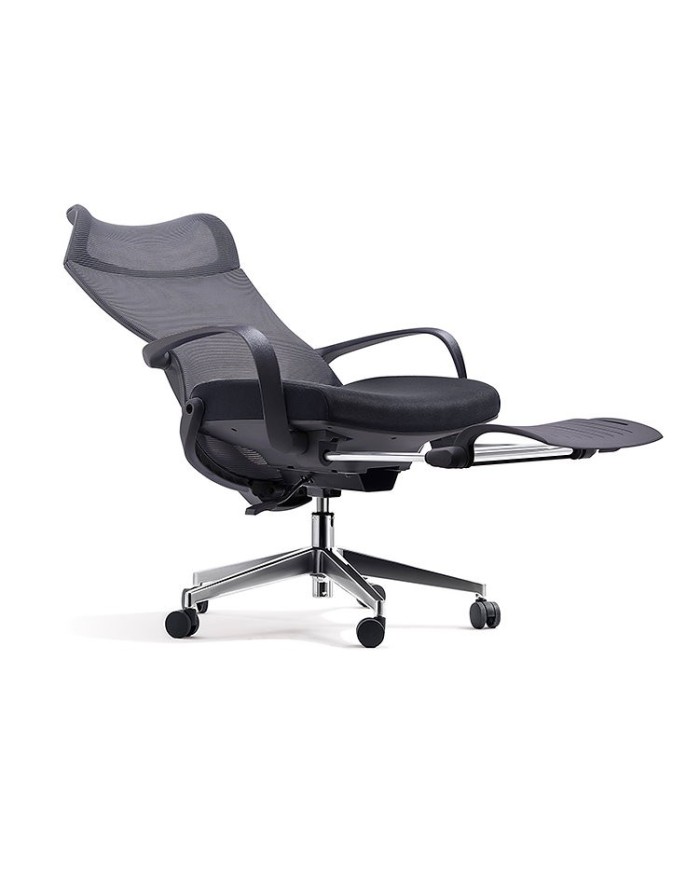 Premium Office Chair Darius
