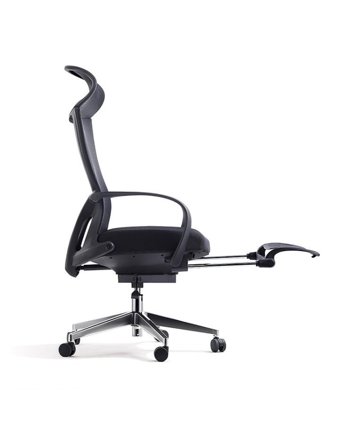 Premium Office Chair Darius