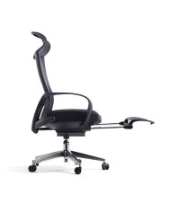 Premium Office Chair Darius