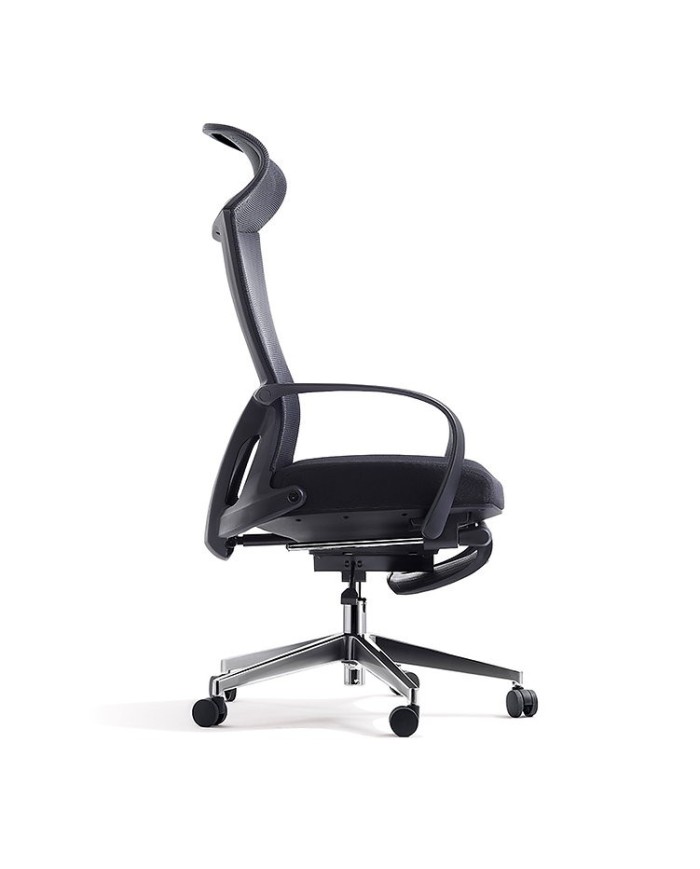 Premium Office Chair Darius