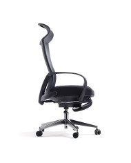 Premium Office Chair Darius