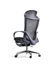 Premium Office Chair Darius